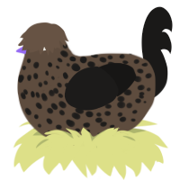 A bark and sable chicken with a speckle pattern