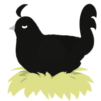 A black chicken with a lace pattern