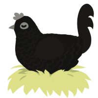 A black and sable chicken with a lace pattern