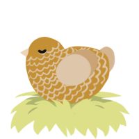 A gold and beige chicken with a lace pattern