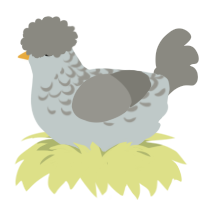 A silver and ash chicken with a half-lace pattern