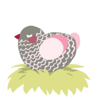 (unnamed), a ash and rose chicken with a lace pattern