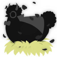 A black chicken