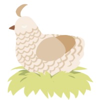 A cream and beige chicken with a lace pattern