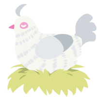 A white and mist chicken with a bar pattern
