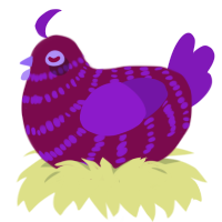 The Killer, a wine and violet chicken with a bar pattern