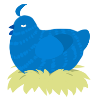 A sapphire chicken with a bar pattern