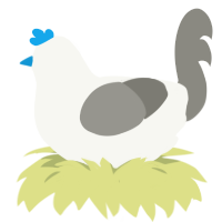 A white and ash chicken