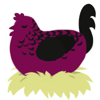 A wine and black chicken with a half-lace pattern