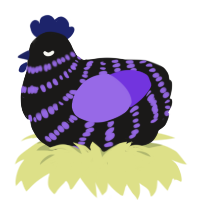 A sable and blurple chicken with a bar pattern