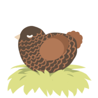 Unknown Henson, a bark and brown chicken with a lace pattern