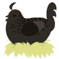 A mist chicken with a half-lace pattern