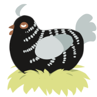 A sable and silver chicken with a half-bar pattern