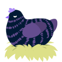 A tumblr and overcast chicken with a bar pattern