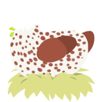 A white and russet chicken with a speckle pattern