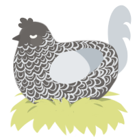 free, a grey and mist chicken with a double-lace pattern
