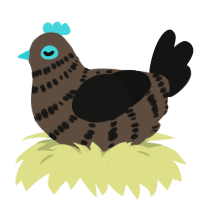 Finnegan, a bark and black chicken with a bar pattern
