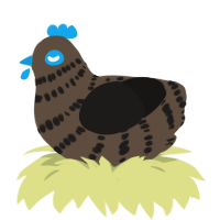 (unnamed), a bark and sable chicken with a bar pattern