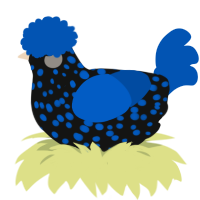 A black and ultramarine chicken with a speckle pattern