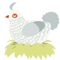 (unnamed), a white and silver chicken with a lace pattern