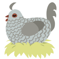 (unnamed), a silver and ash chicken with a lace pattern