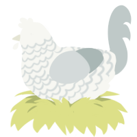 (unnamed), a white and silver chicken with a lace pattern