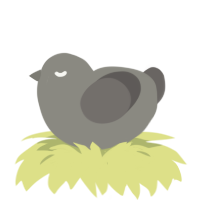(unnamed), a ash and grey chicken
