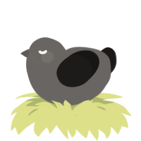 (unnamed), a grey and sable chicken