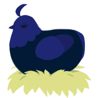 (unnamed), a tumblr and navy chicken with a head pattern