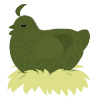 (unnamed), a olive chicken with a lace pattern