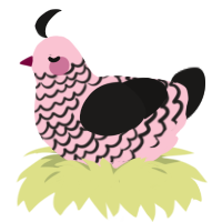 (unnamed), a rose and sable chicken with a lace pattern