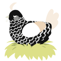 (unnamed), a black and cream chicken with a lace pattern
