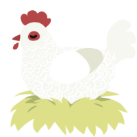A white chicken with a double-lace pattern