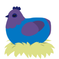 Inky, a sapphire and overcast chicken with a head pattern