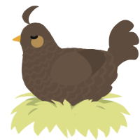 Pinecone, a bark chicken with a lace pattern