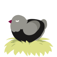 Quotidian, a sable and ash chicken with a head pattern