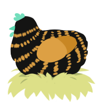 A black and orange chicken with a bar pattern