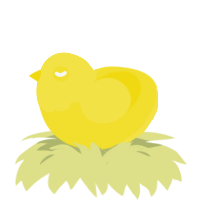 Sun, a yellow chicken with a head pattern