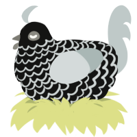 (unnamed), a black and silver chicken with a lace pattern