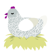 Cirrus, a silver and white chicken with a double-lace pattern