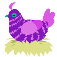 A violet and orchid chicken with a bar pattern