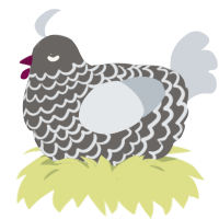 A grey and mist chicken with a lace pattern