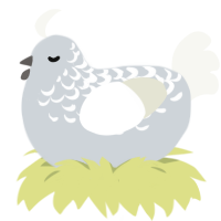 The Delights, a mist and white chicken with a half-lace pattern