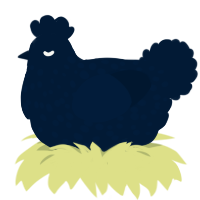 timekeeper, a tumblr chicken with a speckle pattern