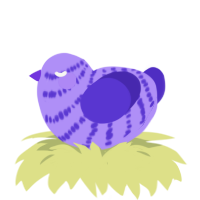 Sprig of Lilac, a lilac and indigo chicken with a bar pattern
