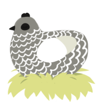 (unnamed), a ash and white chicken with a lace pattern