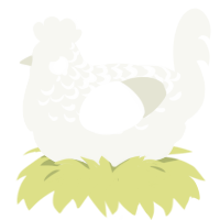 White boy, a white chicken with a half-lace pattern