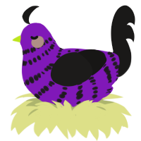 Pur-Black Ice Cream, a violet and sable chicken with a bar pattern