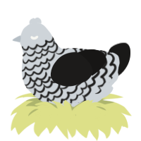 A mist and sable chicken with a lace pattern