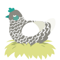 blue footed booby, a ash and white chicken with a lace pattern